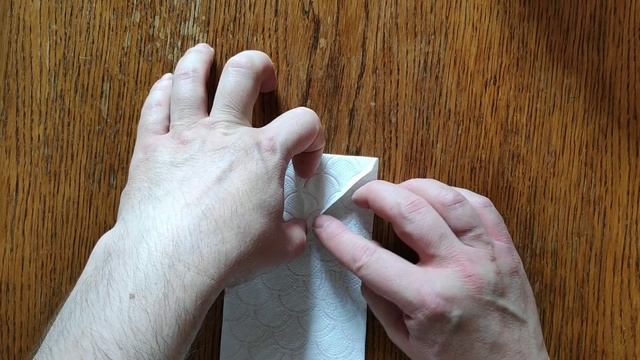 Оригами "Кораблик" из туалетной бумаги. Origami "Boat" of toilet paper.
