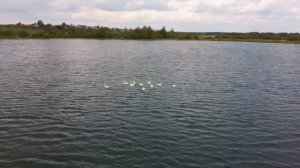 Лисицинский карьер. Вологда. 4К.