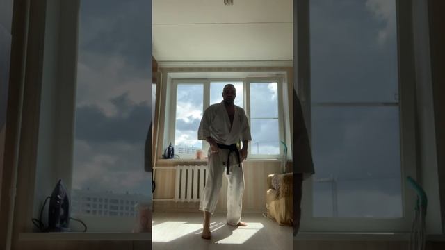 Каратэ. Разминка. Бой с тенью. ОФП. смотреть онлайн