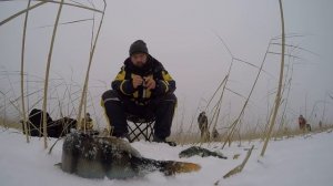 Ловля окуня на мормышку | Рыбалка на Ладоге