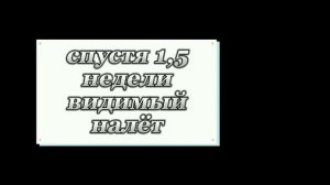 что будет если не чистить зубы год