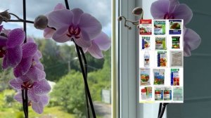 СДЕЛАЙТЕ ЭТО И ОРХИДЕЯ БУДЕТ ЦВЕСТИ! ПОЧЕМУ НЕ ЦВЕТЁТ ОРХИДЕЯ?