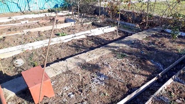 5 ноября дача смотреть онлайн