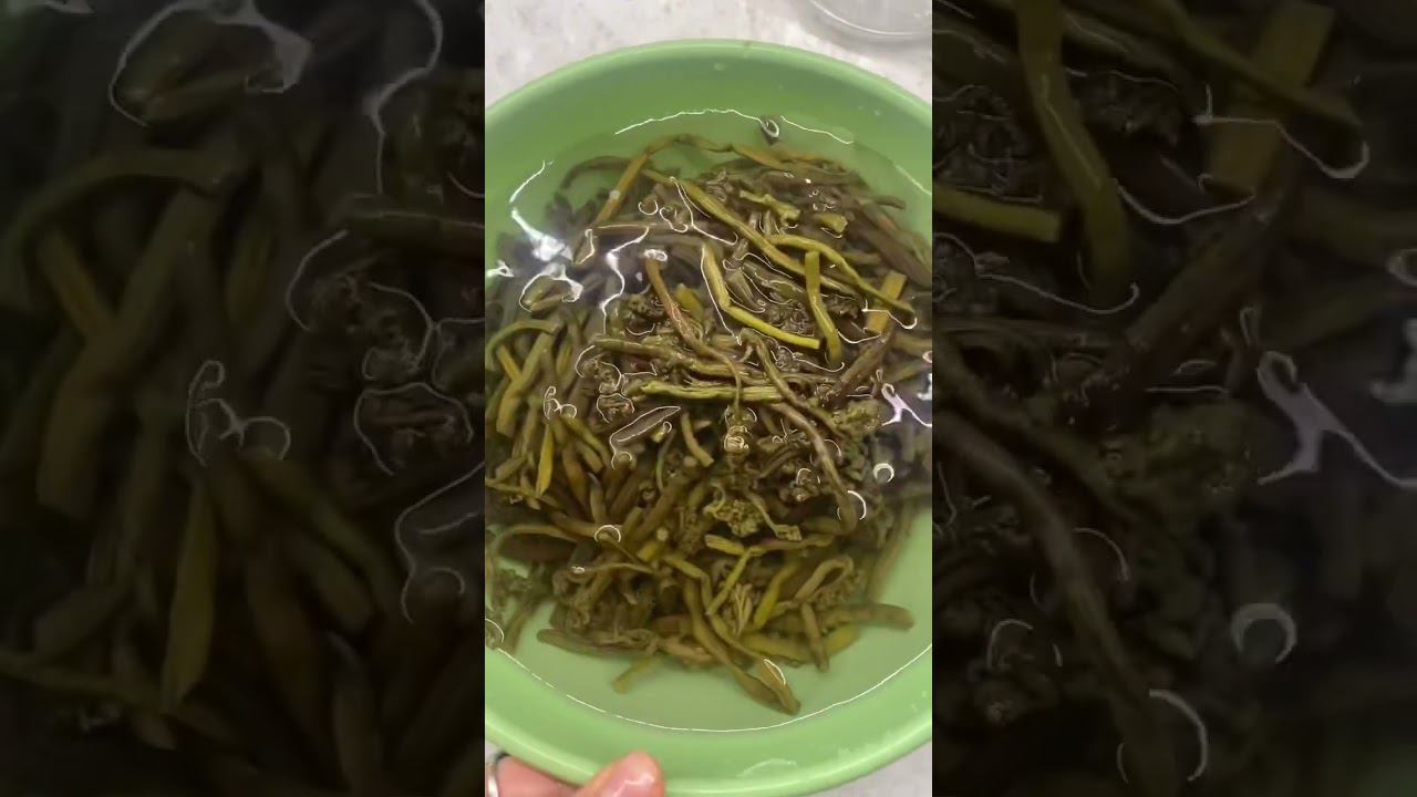 Готовлю папоротник. Удивительный полезный продукт наших предков. #рецепты #папоротник #соленья