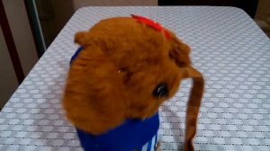 Интерактивная собака на поводке