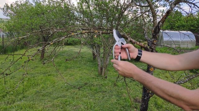 Секатор с храповым механизмом GREEN GARDEN 3130-3К, петлеобразная ручка, масленка, точилка, резак