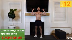 "Сжигание" | День 12: 30 минутная  тренировка плеч и трицепсов с гирями