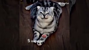 Видео про футбол