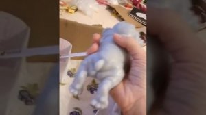 Мои сквиш собачки.😍 Купаю Пирожка