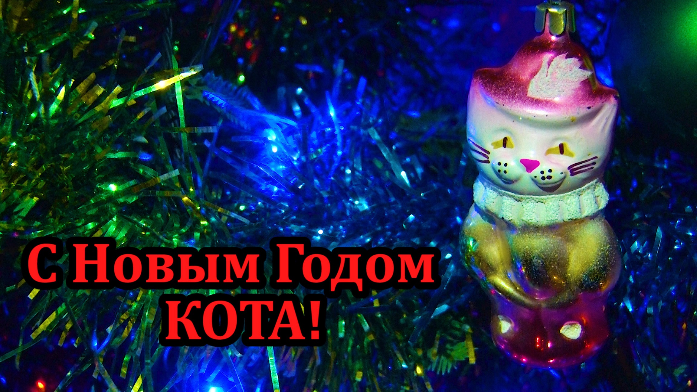 С Новым Годом КОТА! Музыкальное новогоднее видео