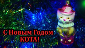 С Новым Годом КОТА! Музыкальное новогоднее видео