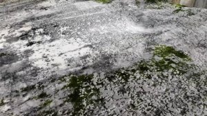 ? ИРАНСКИЕ ТУРЕЦКИЕ КОВРЫ НА РЫНКЕ САДОВОД ЗАКАЗЫВАЙТЕ.