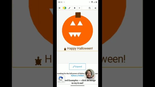 "Happy Halloween ? Pumpkin" [Python] code project by WASP