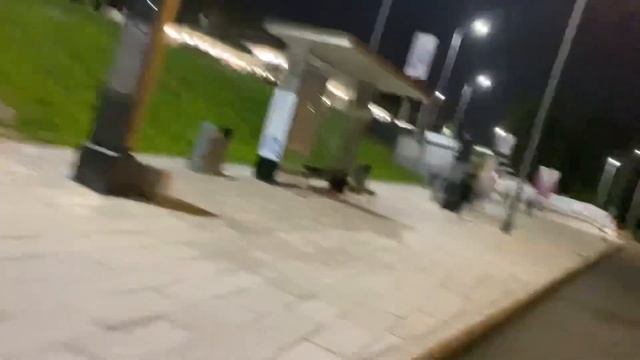 Москва метро новопеределкино