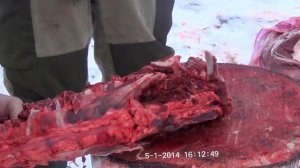 Разделка лося топором из стали 9ХС