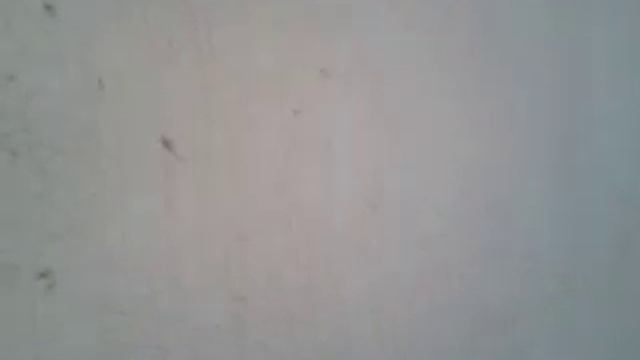 video-шпатлёвка по малярной сетке. смотреть онлайн