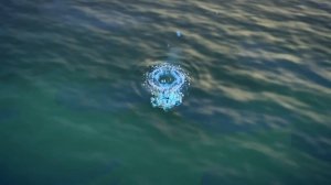 Адский кальмар-вампир