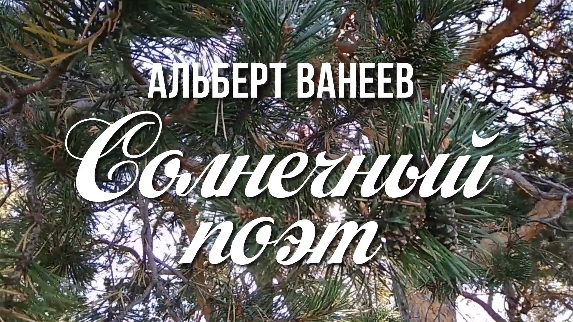 Альберт Ванеев. Солнечный поэт