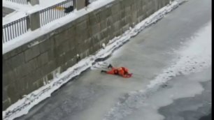 Спасение утки, примерзшей ко льду в Обводном канале