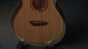 Gopher Wood Acoustic Guitar ( i210SE )