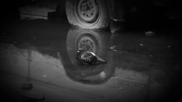 Постигший истину смотреть онлайн