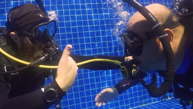 PADI Rescue Exercise 4 - Distressed Diver Underwater - Out of Air Diver смотреть онлайн