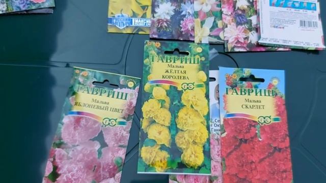 Обзор семян цветов для посадки в июле. Дельфиниум. Аквилегия. Мальва. Наперстянка. Люпин