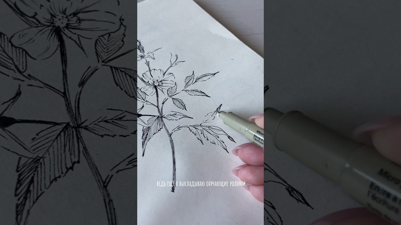 рисую скетчи каждый день  #ботаника #скетчингдляначинающих #рисованиекарандашом #скетчбук