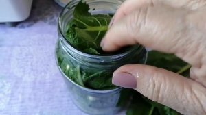 Огурцы в листьях ХРЕНА, не хреновые, а супер закуска?????