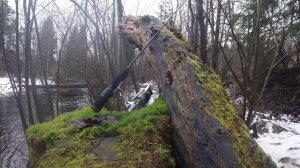 #222 | Abu Garcia Diplomat Nano DNS-615XUL | Теперь и ЧЕТЫРЕХ частный!!! |