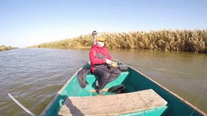 Астрахань осень 2017 жерех