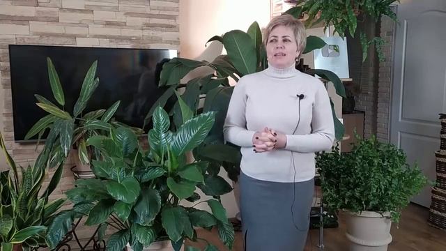 СПАТИФИЛЛУМ - ЖЕНСКОЕ СЧАСТЬЕ Особенности выращивания смотреть онлайн