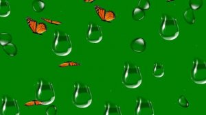 ФУТАЖ  -  БАБОЧКИ   - ХРОМАКЕЙ НА ЗЕЛЕНОМ ФОНЕ