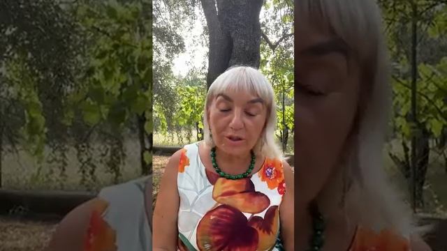 N.E.O.TIME 17:17 Физика и лирика. Как не допустить разбалансировку. Запись эфира 14.07.2022