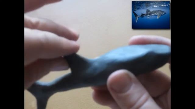 3класс акула из пластилина