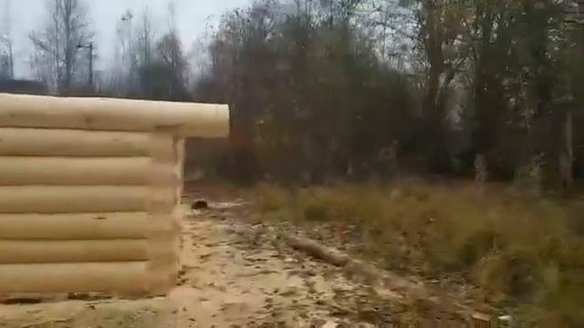Будущий дом из сруба 6,2*6,2 м смотреть онлайн