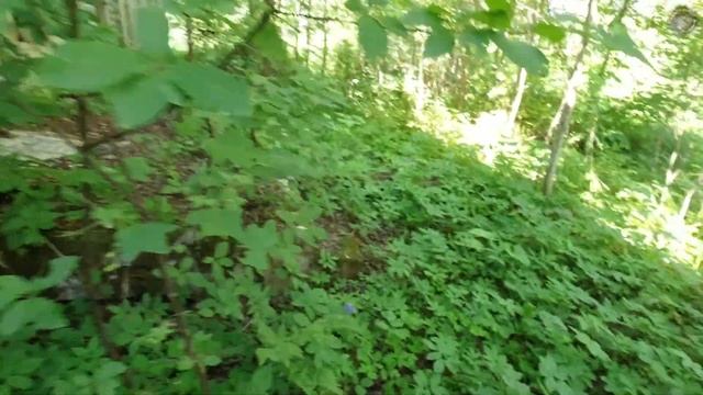 Павло Обнорский монастырь 1 серия  #грязовец #вологодскаяобласть