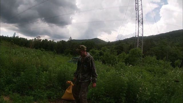 Летний сезон охоты на кабана2022. С Петровичем на зимовье смотреть онлайн