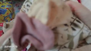 Рождественское видео про Реборн Подарки на Новый год  и Рождество. Зырики ТВ