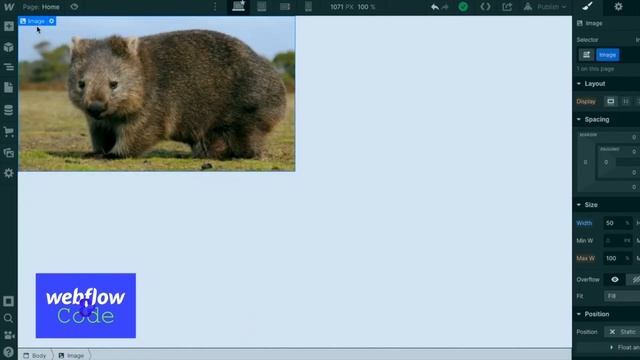 JavaScript Lazy Loading in Webflow смотреть онлайн