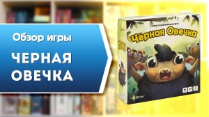 ЧЁРНАЯ ОВЕЧКА. Обзор и правила настольной игры от Эврикус