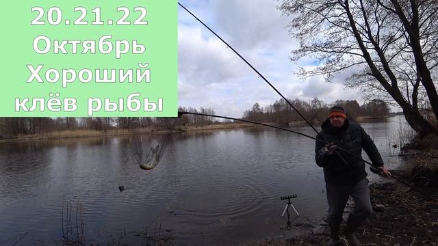 Прогноз клева рыбы на Эту неделю с 17 по 23 Октября. Календарь рыбака на неделю Лунный прогноз клев