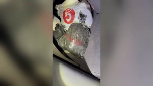 Столичные полицейские изъяли у наркоперевозчика порядка 5 кг синтетического наркотика