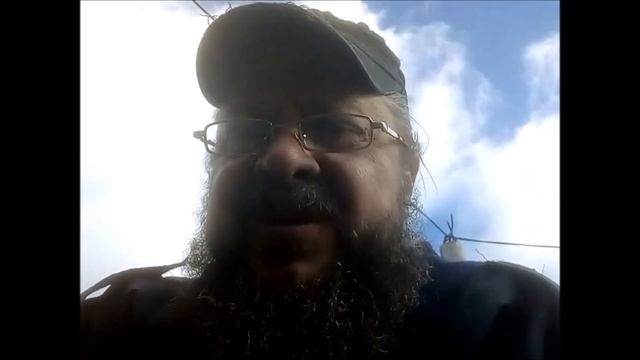 Ежедневник. День 145-й. Узконосые обезьяны в космосе. смотреть онлайн