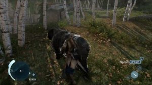 Assassin's Creed 3 Пасивный медведь