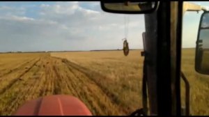 Заготовка сенажа на зиму. Корм для скота.
