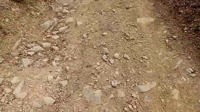 весна 28 апреля 2022 цветёт багульник и море клещей смотреть онлайн