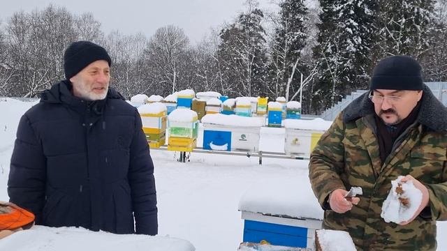? Температурные качели во время зимовки пчел на улице 2022. Пчеловедение и Владимир Жуков советуют