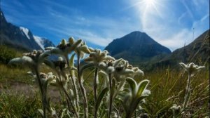 ?КОГДА ПРОИСХОДЯТ ЧУДЕСА.Ч -2?Христианские рассказы. Истории из жизни. Для широкого круга.