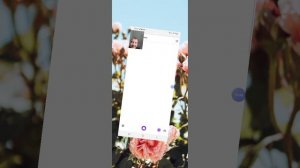 Говарю Яндекс Алисе только *НЕТ*